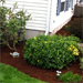 Odd Jobbers Landscaping