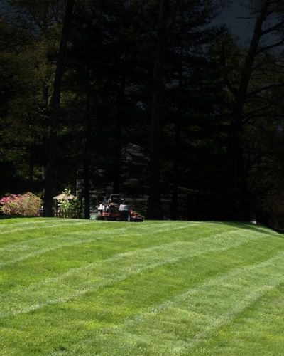 Odd Jobbers earns their stripes lawn mowing